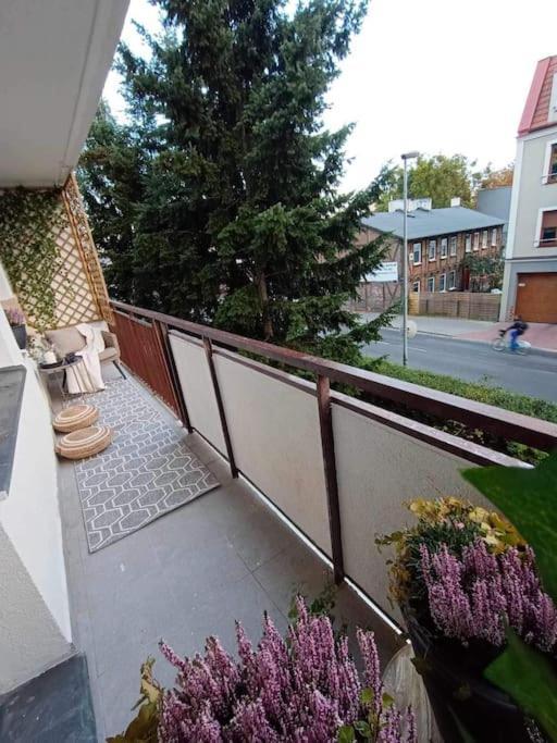Apartament Podgorna 19 Daire Stary Toruń Dış mekan fotoğraf