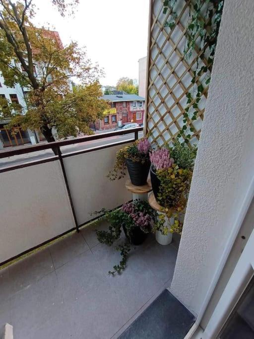 Apartament Podgorna 19 Daire Stary Toruń Dış mekan fotoğraf